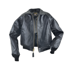 STADIUM TEAM JACKET